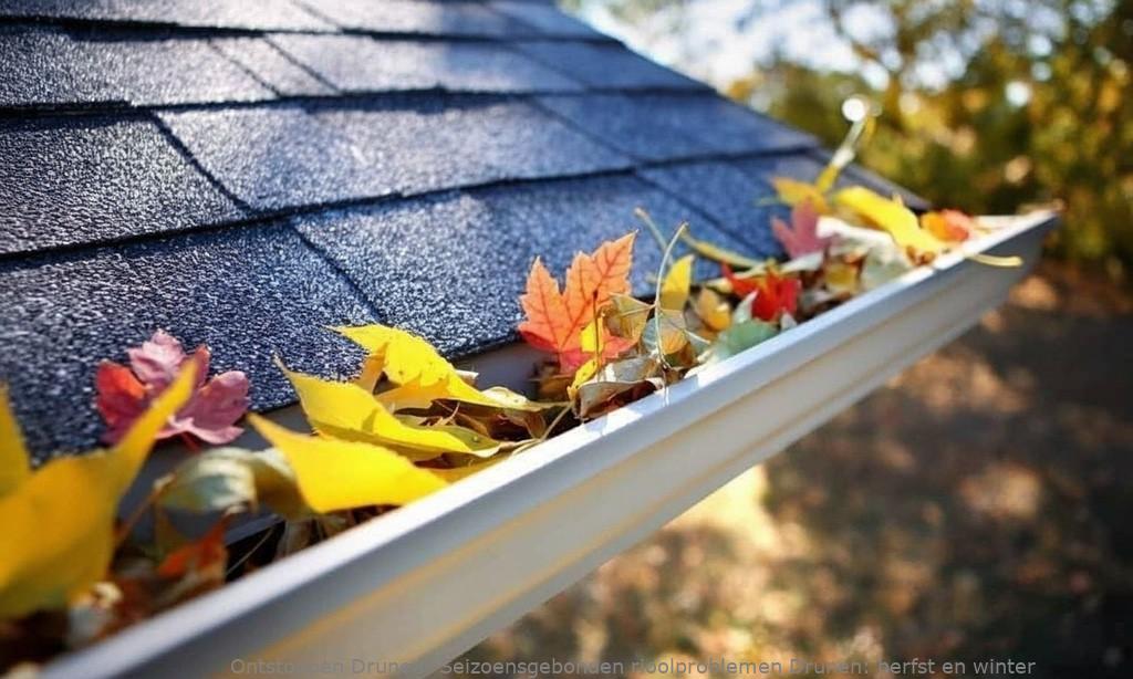 Seizoensgebonden rioolproblemen Drunen: herfst en winter
